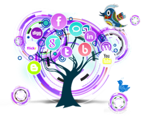 social media optimization service